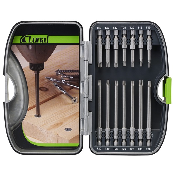 BITSSETT 14 DELER TORX