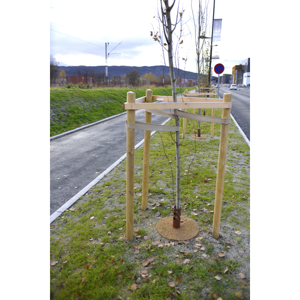 Produktbilde