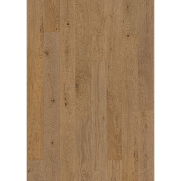 PARKETT EIK MEDIUM GREY PL209 MP