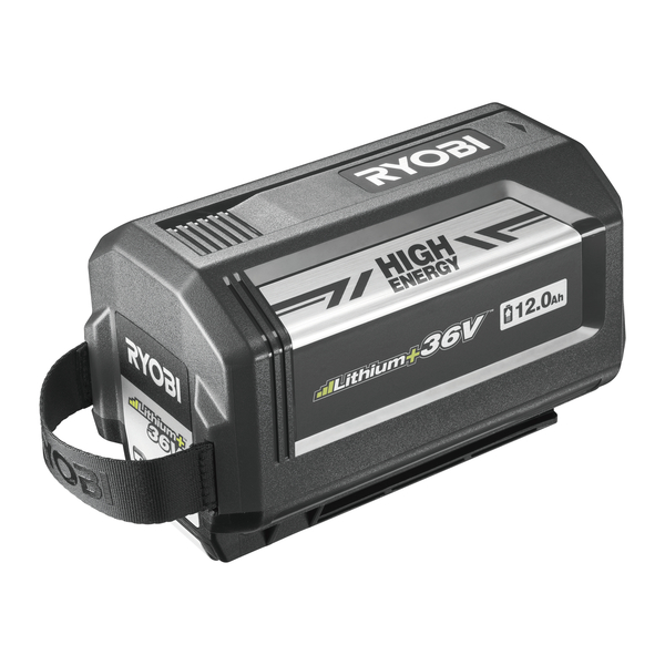 BATTERI INVERTER RY36BI300A-0