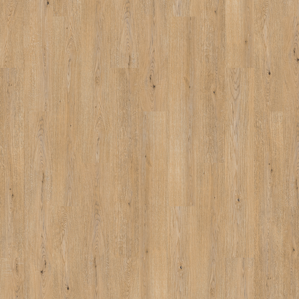 KORKGULV WISE SRT NATURAL LIGHT OAK
