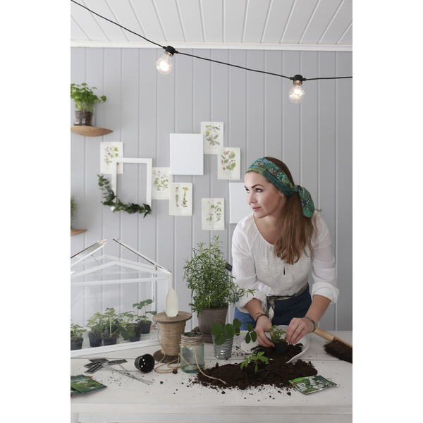 Produktbilde