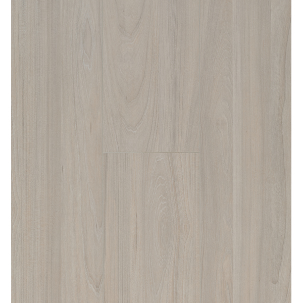 LAMINATG OCEAN 8 ELM LIGHT