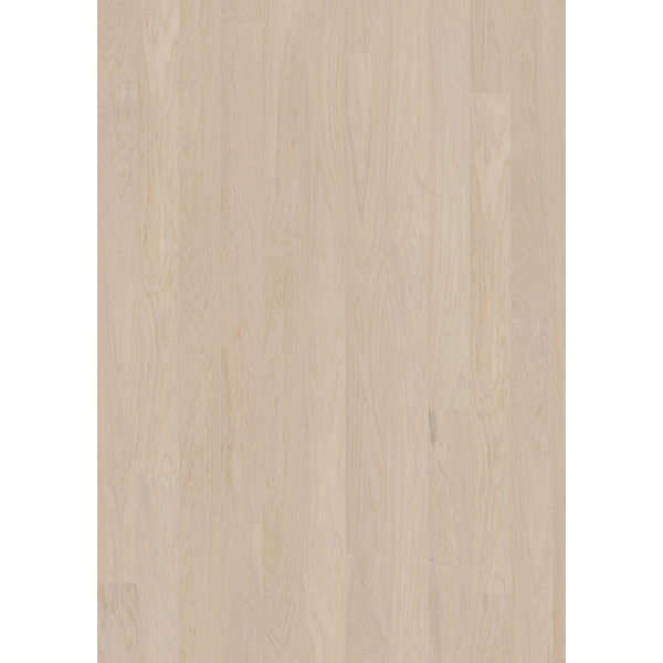 TREGULV LIFE COCONUT CREAM NARROW