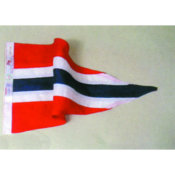 VIMPEL 150CM