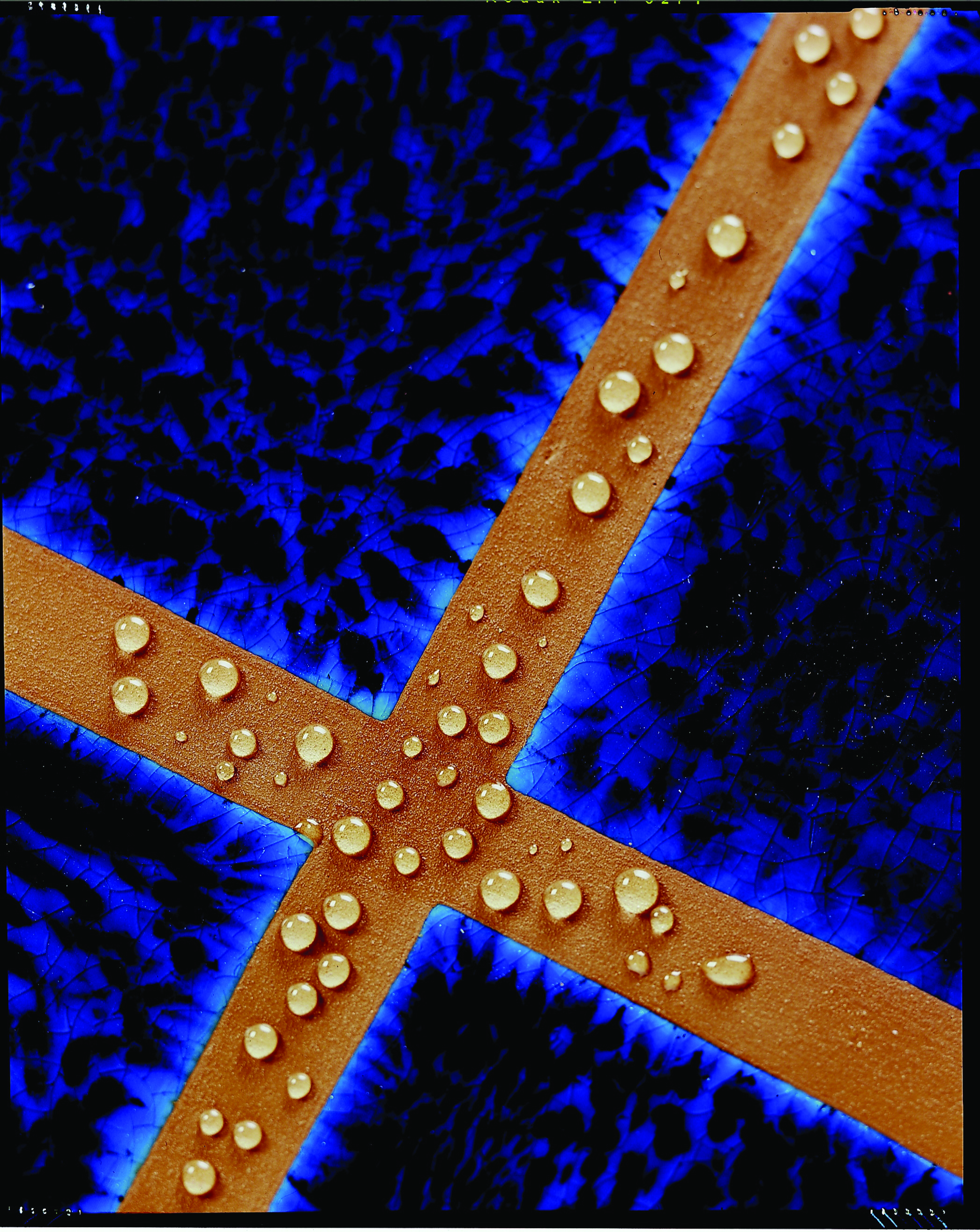 NOBB Miljøbilde 637ec8c754349e6c04297fb7