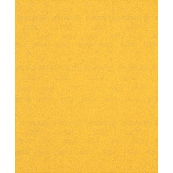 SLIPEARK 230X280MM K240